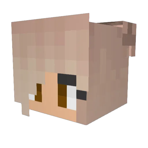 Alinxyb Minecraft avatar head, 3D render