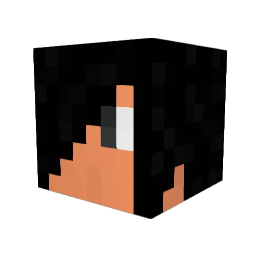 Aliocha00 Minecraft avatar head, 3D render