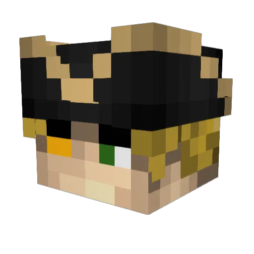 Aliquam25 Minecraft avatar head, 3D render