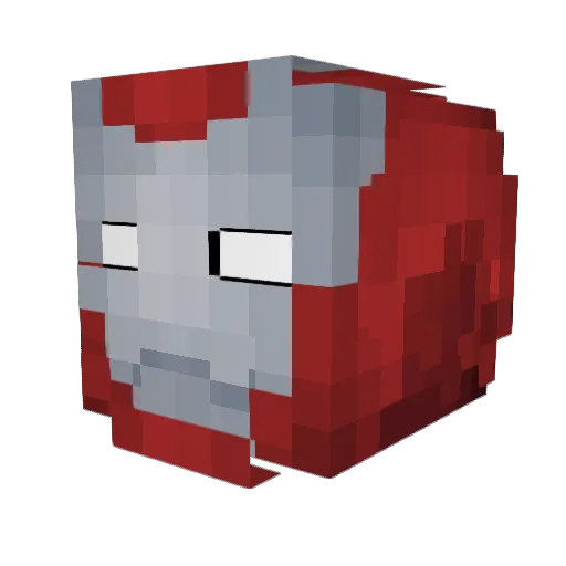 Alireza123 Minecraft avatar head, 3D render