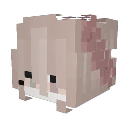 Alisa12313 Minecraft avatar head, 3D render