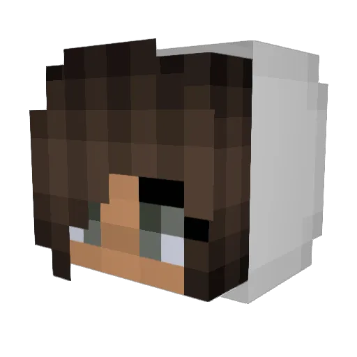 AlishaDraws Minecraft avatar head, 3D render