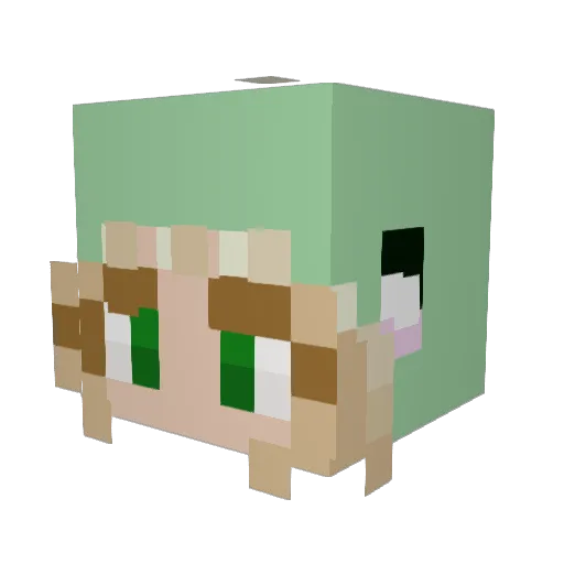 Alisharabbit Minecraft avatar head, 3D render