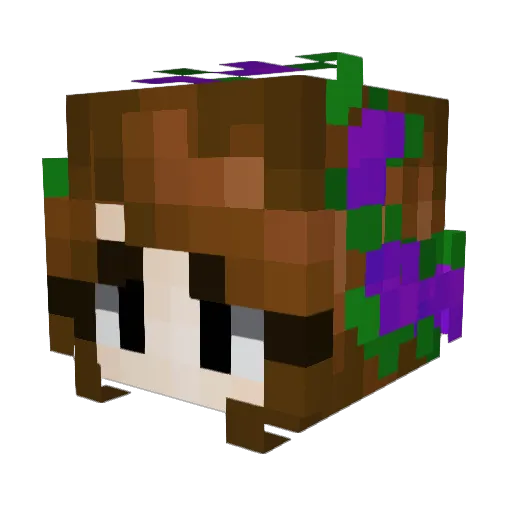 Aliska_Kiska Minecraft avatar head, 3D render