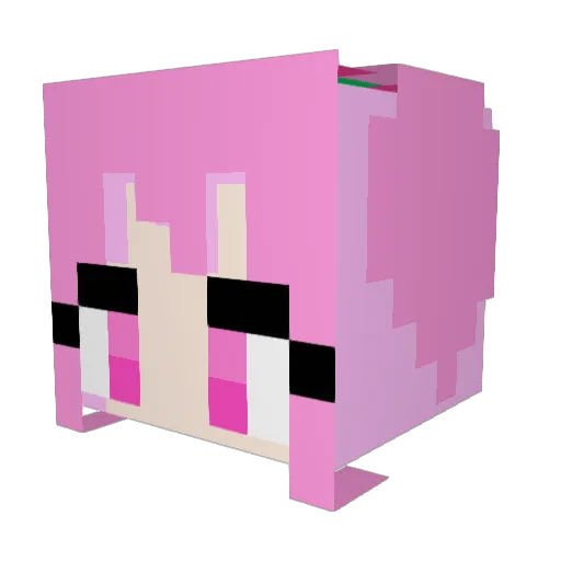 AlisonW519 Minecraft avatar head, 3D render