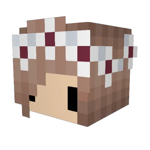 Alissa314 Minecraft avatar head, 3D render
