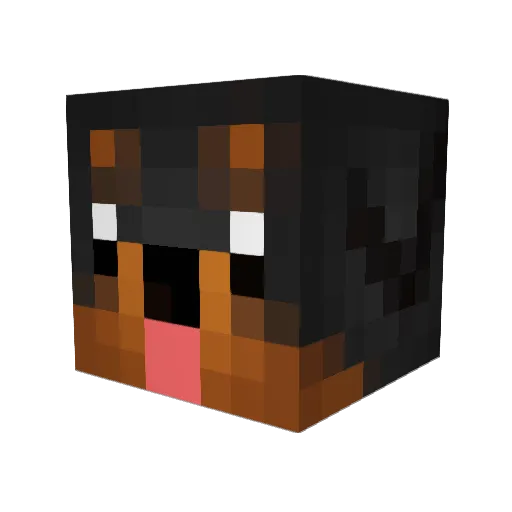 AlissaPuppyBeer Minecraft avatar head, 3D render