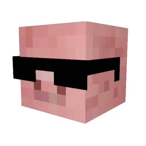 Alistarle Minecraft avatar head, 3D render