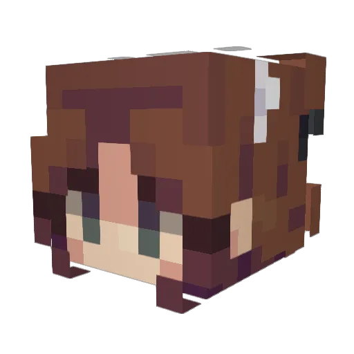 Alisterek1PL Minecraft avatar head, 3D render