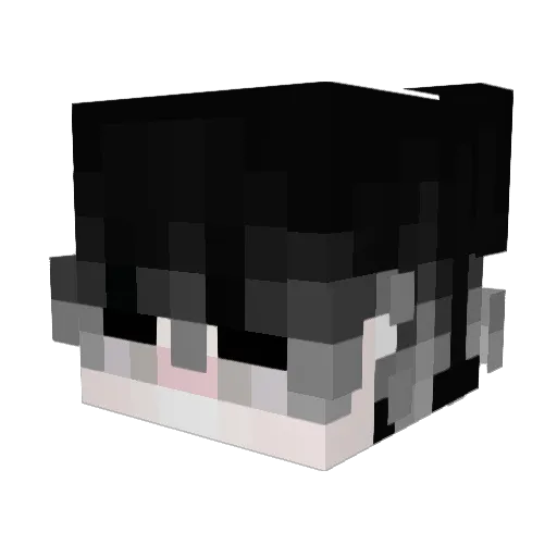 Alisterlox24 Minecraft avatar head, 3D render
