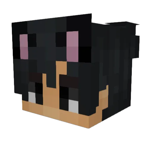AlistraSinova Minecraft avatar head, 3D render