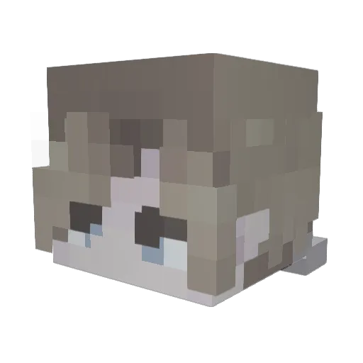 Alittle_bo0k Minecraft avatar head, 3D render
