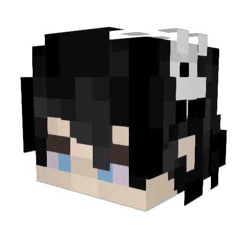 Alive4Wooper Minecraft avatar head, 3D render