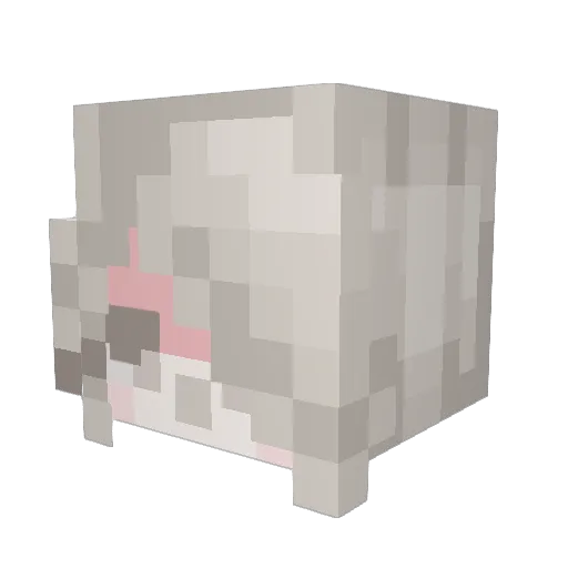 AlixKaonashi Minecraft avatar head, 3D render