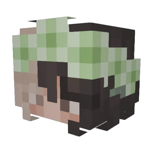 Alixotv Minecraft avatar head, 3D render