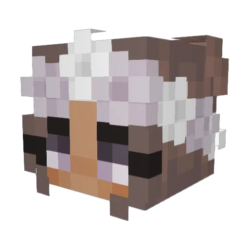 Aliya_x3 Minecraft avatar head, 3D render