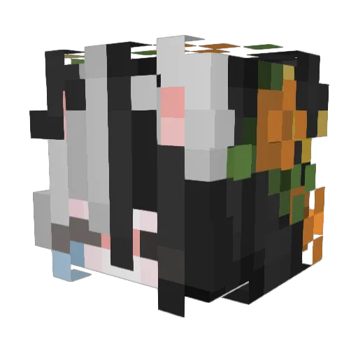 Aliza2013 Minecraft avatar head, 3D render
