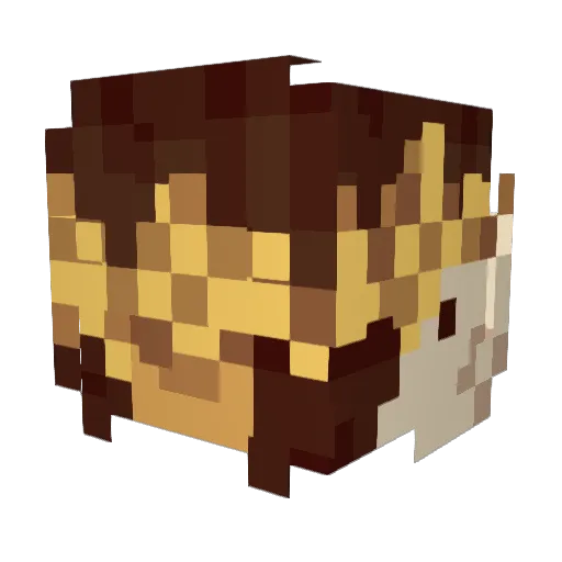 Aliza_liza Minecraft avatar head, 3D render