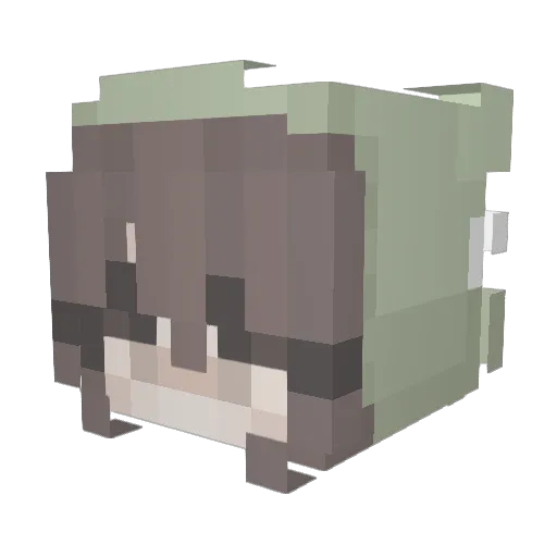 Alizafroggy Minecraft avatar head, 3D render