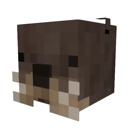 Alkaam Minecraft avatar head, 3D render