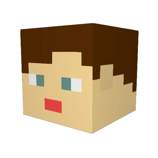 Alkogolick Minecraft avatar head, 3D render