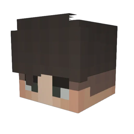 Alkoholhaltiger Minecraft avatar head, 3D render