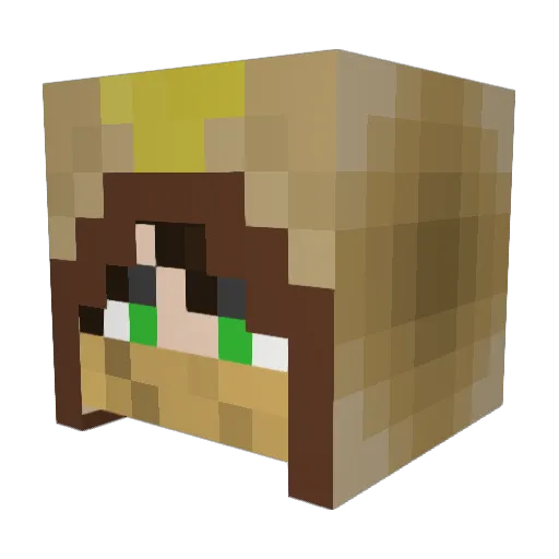 AlkoholowyBaron Minecraft avatar head, 3D render