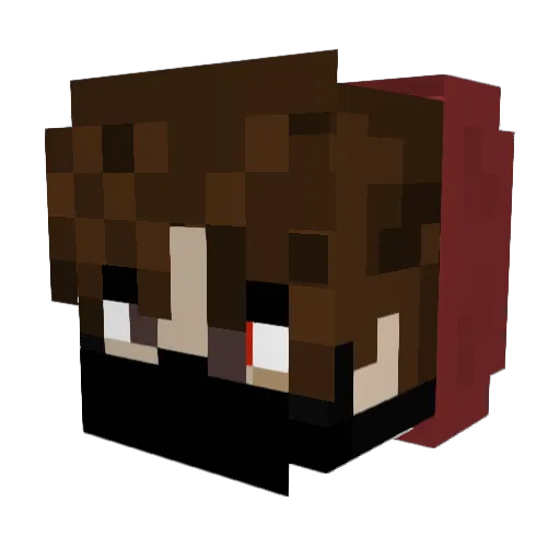 All4Nami Minecraft avatar head, 3D render