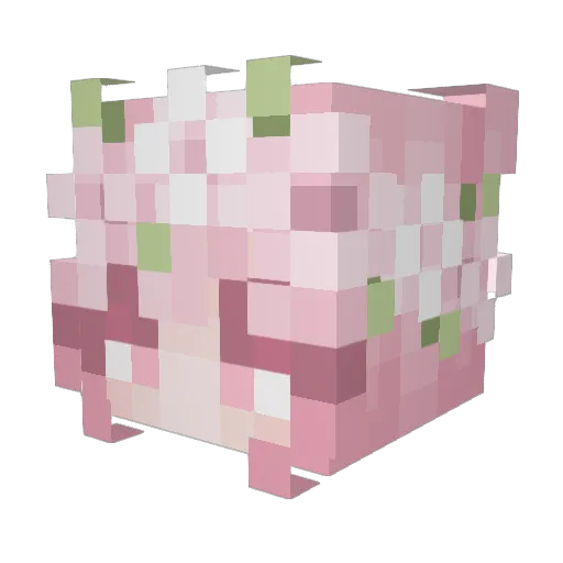 AllAlaska Minecraft avatar head, 3D render