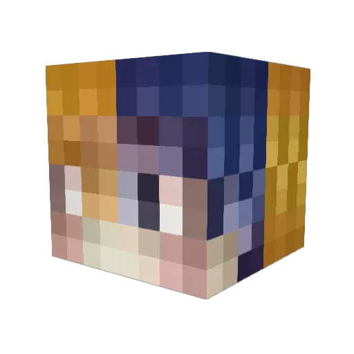 AllAnd_ Minecraft avatar head, 3D render