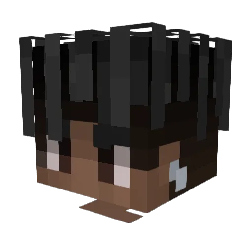 AllAroundPsycho Minecraft avatar head, 3D render