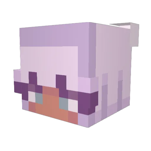 AllBiscuit Minecraft avatar head, 3D render