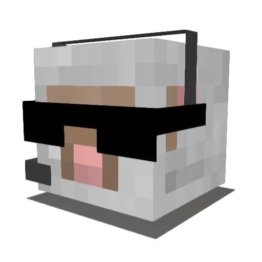 AllBlacks09 Minecraft avatar head, 3D render