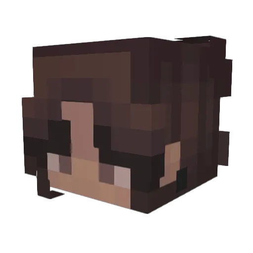 AllCAreB1312 Minecraft avatar head, 3D render