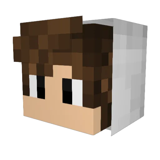 AllCombos4You Minecraft avatar head, 3D render