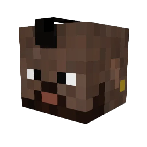 AllDay_Everyday Minecraft avatar head, 3D render
