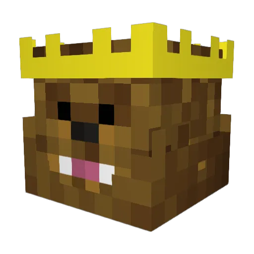 AllForDog Minecraft avatar head, 3D render