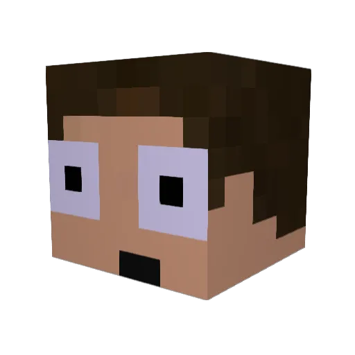 AllGetRight Minecraft avatar head, 3D render