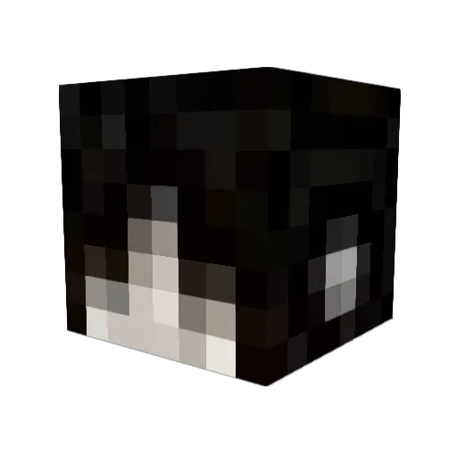 AllICanSeeIsU Minecraft avatar head, 3D render
