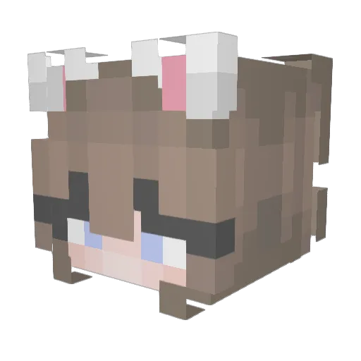 AllPowerfulMeow Minecraft avatar head, 3D render