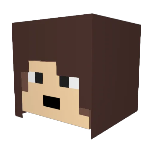 AllRyliedUp Minecraft avatar head, 3D render