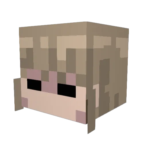 AllSeeingSkel Minecraft avatar head, 3D render