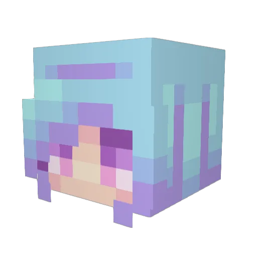 AllWeGot_ Minecraft avatar head, 3D render
