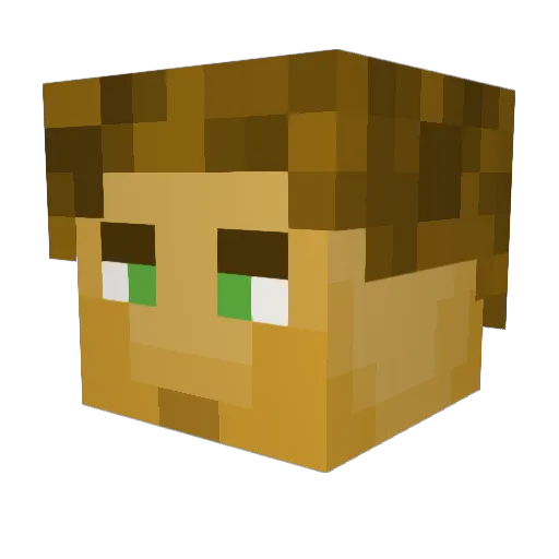 AllWild1 Minecraft avatar head, 3D render