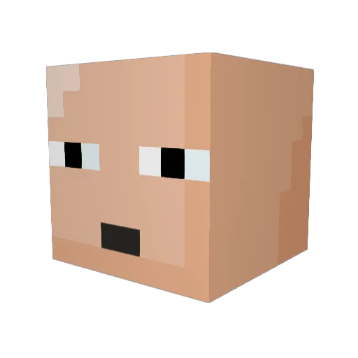 All_In01 Minecraft avatar head, 3D render