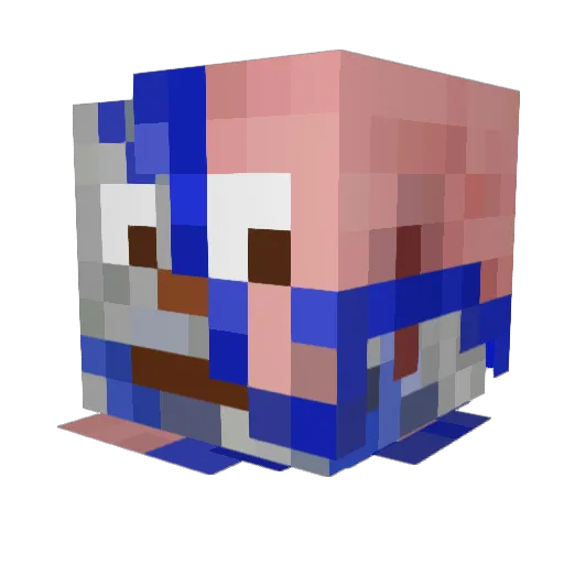 Allaenxg Minecraft avatar head, 3D render