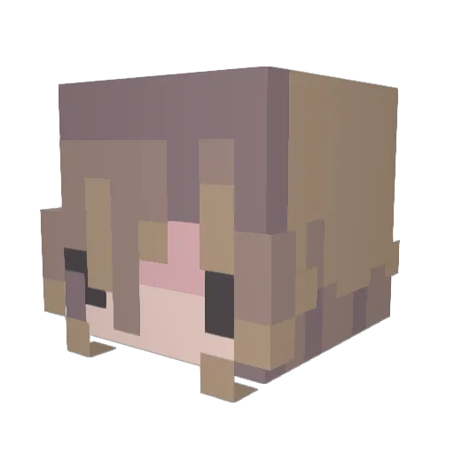 Allagi_Fasis Minecraft avatar head, 3D render