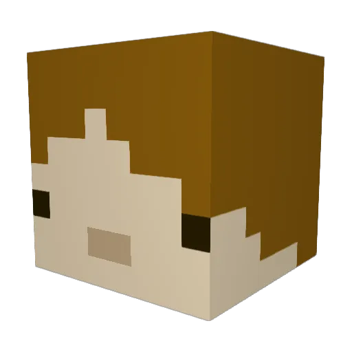 AllahEnjoyer786 Minecraft avatar head, 3D render