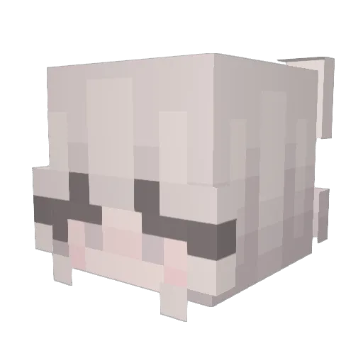 AllahtaWeight Minecraft avatar head, 3D render