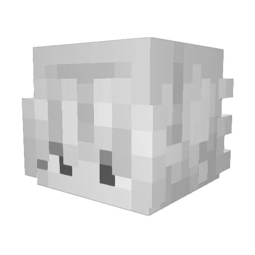 Allain1406 Minecraft avatar head, 3D render